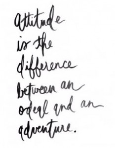 attitude